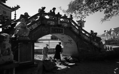 Yang Fudong, Sparrow on the Sea, 2024. Co-commissioned by M+ and Art Basel, presented by UBS, 2024 © Yang Fudong Photo: Courtesy of the artist