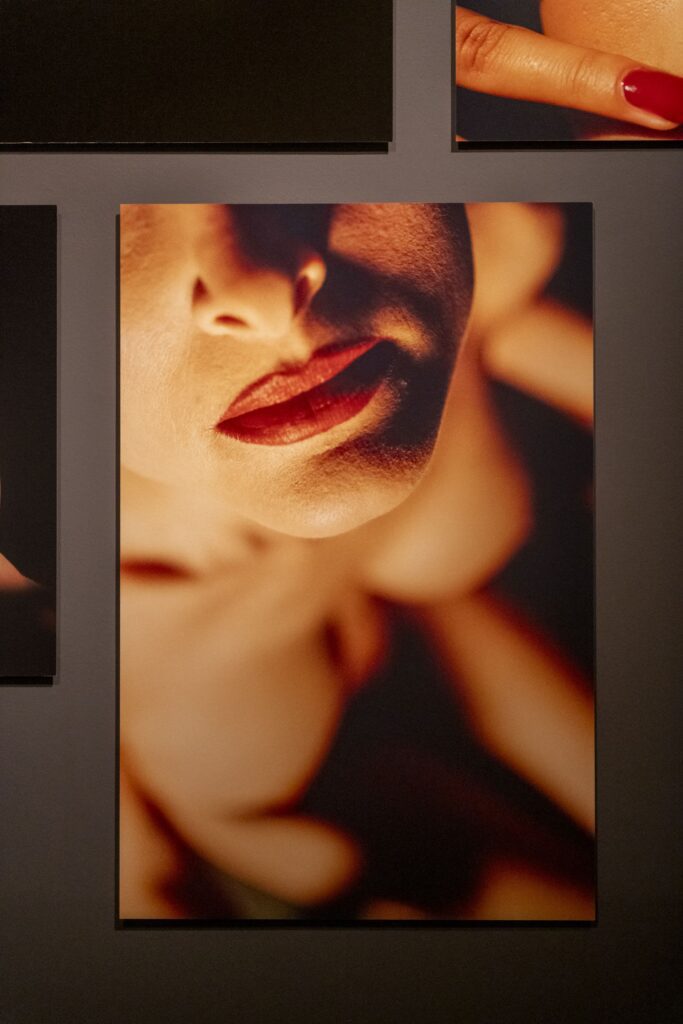 DOX, David Lynch, Up in Flames, view of the exhibition, photo Jan Slavík ©DOX