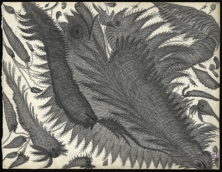 sans titre, Marie Bouttier, 1899. Courtesy Collection de l’Art Brut, Lausanne © Amélie Blanc, Atelier de numérisation – Ville de Lausanne