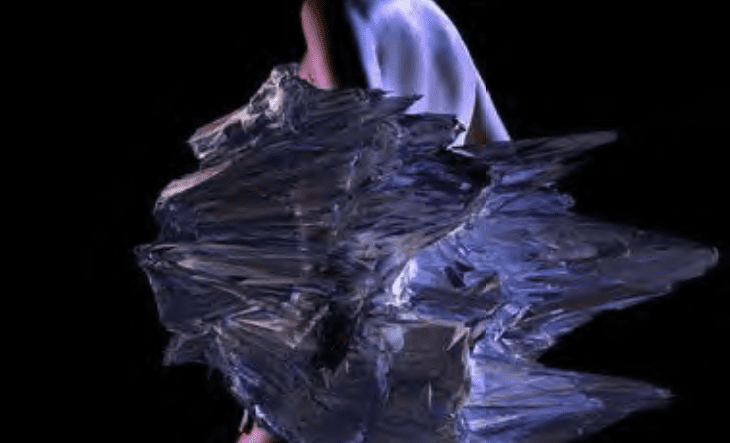 Vesna Petresin, Audiomorph, 2011