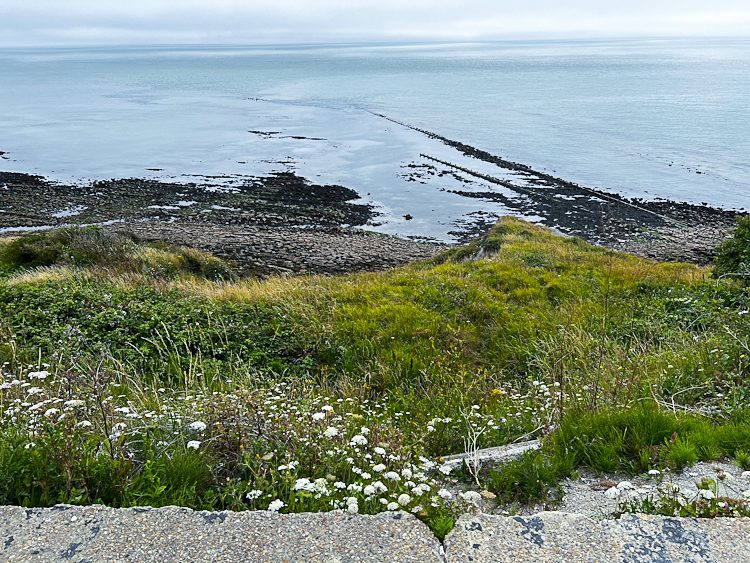 Folkestone Views - Coast by Trebuchet