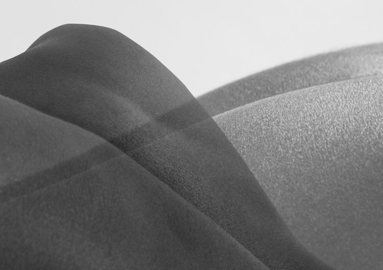 Binta Diaw, Paysage Corporel - Nature I, 2023