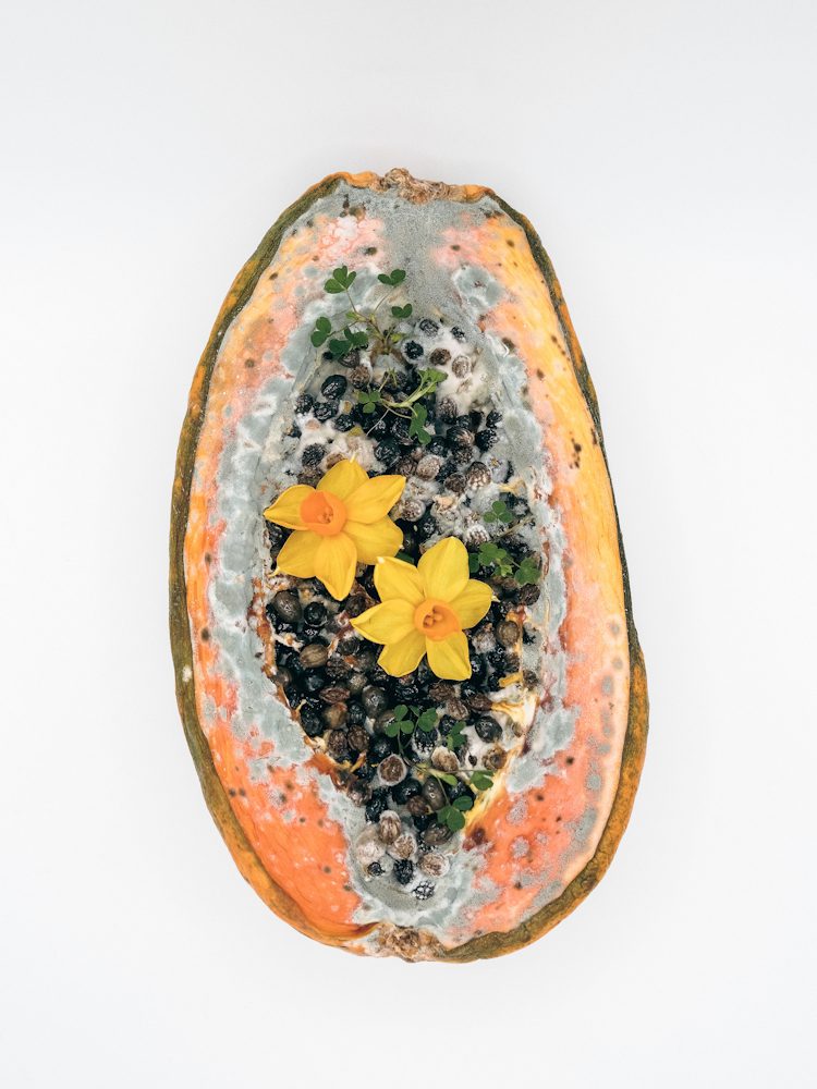  Wanting Wang, “Blossoms of Decay” series, 2025, digital giclée printing, 42 x 54.9 cm each (framed)