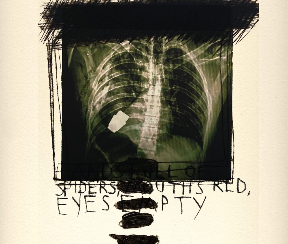Marcus Rees Roberts, Red Marble, Wild Flowers 4, 2024