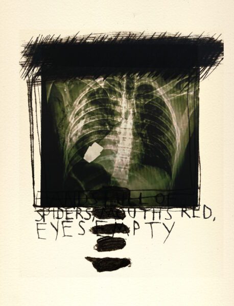 Marcus Rees Roberts, Red Marble, Wild Flowers 4, 2024