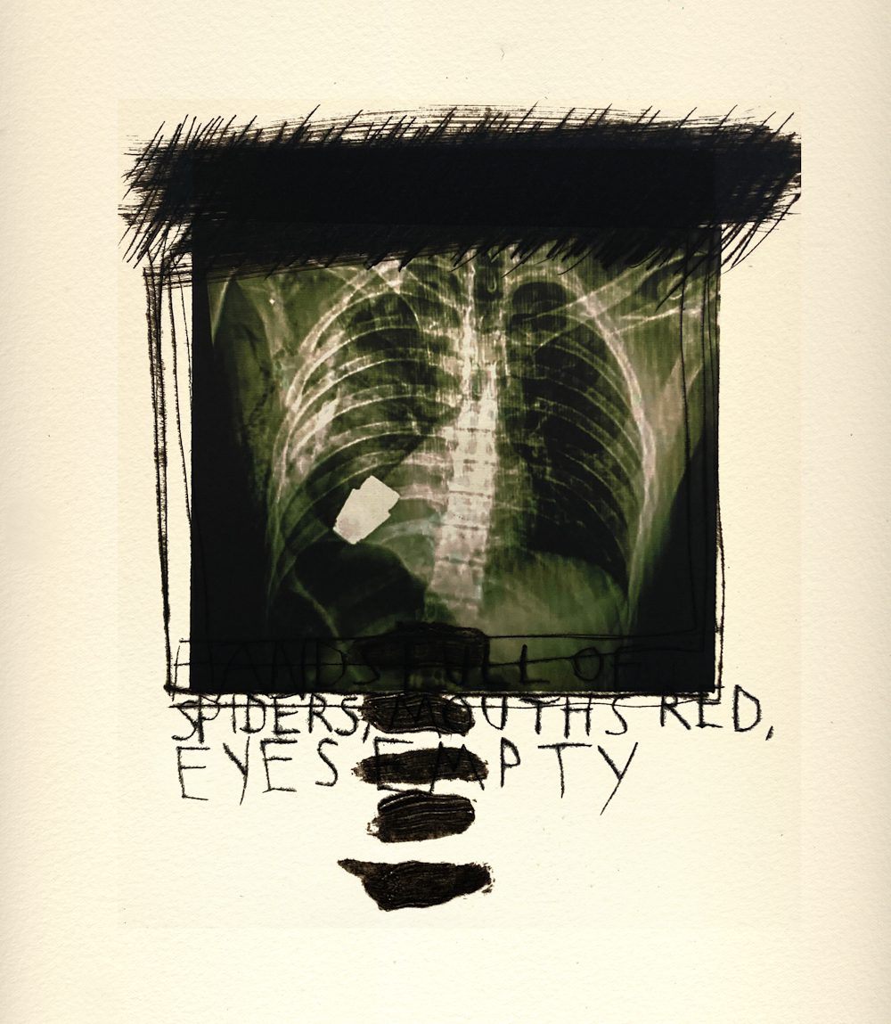 Poetic and Evocative This Dark Shore: Mythic Realism in the Work of Marcus Rees Roberts