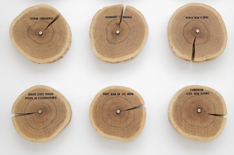 Event Horizon, 2016 100 oak tree discs, stamped ink, acrylic paint, steel fixtures Detail of installation Collection Kunsten Museum of Modern Art, Aalborg Photo © Andy Keate and South London Gallery, London