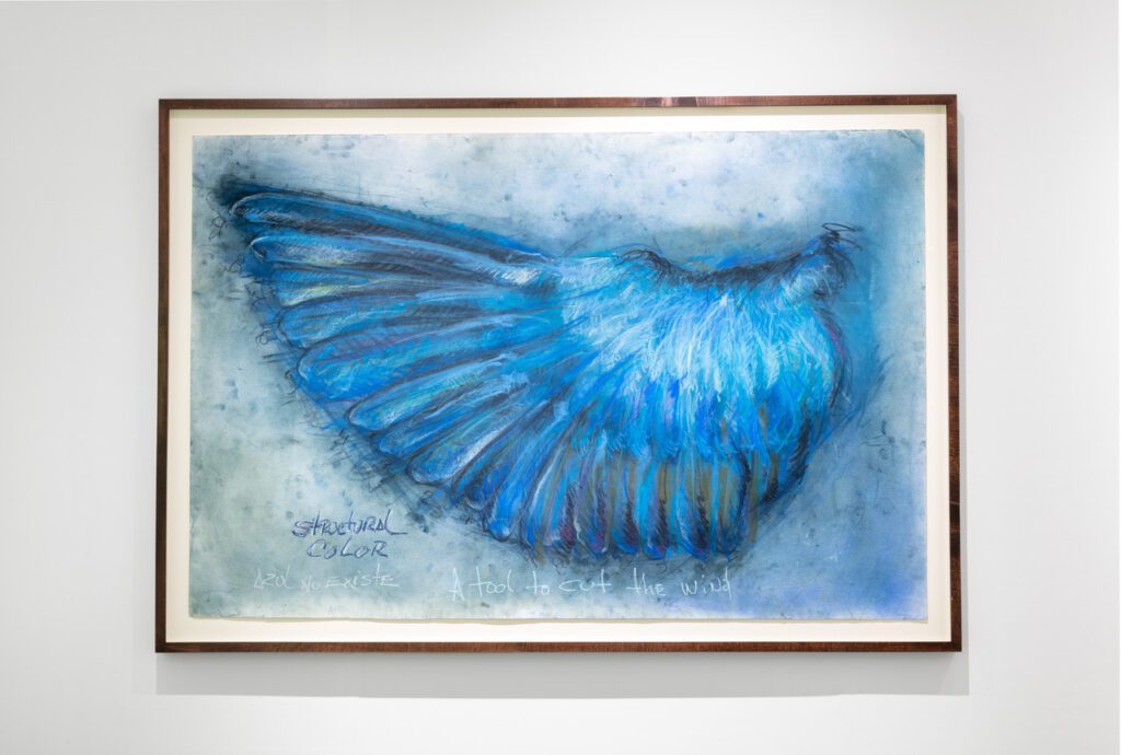 Oswaldo Maciá, A tool to cut the wind / structural colour, 2023