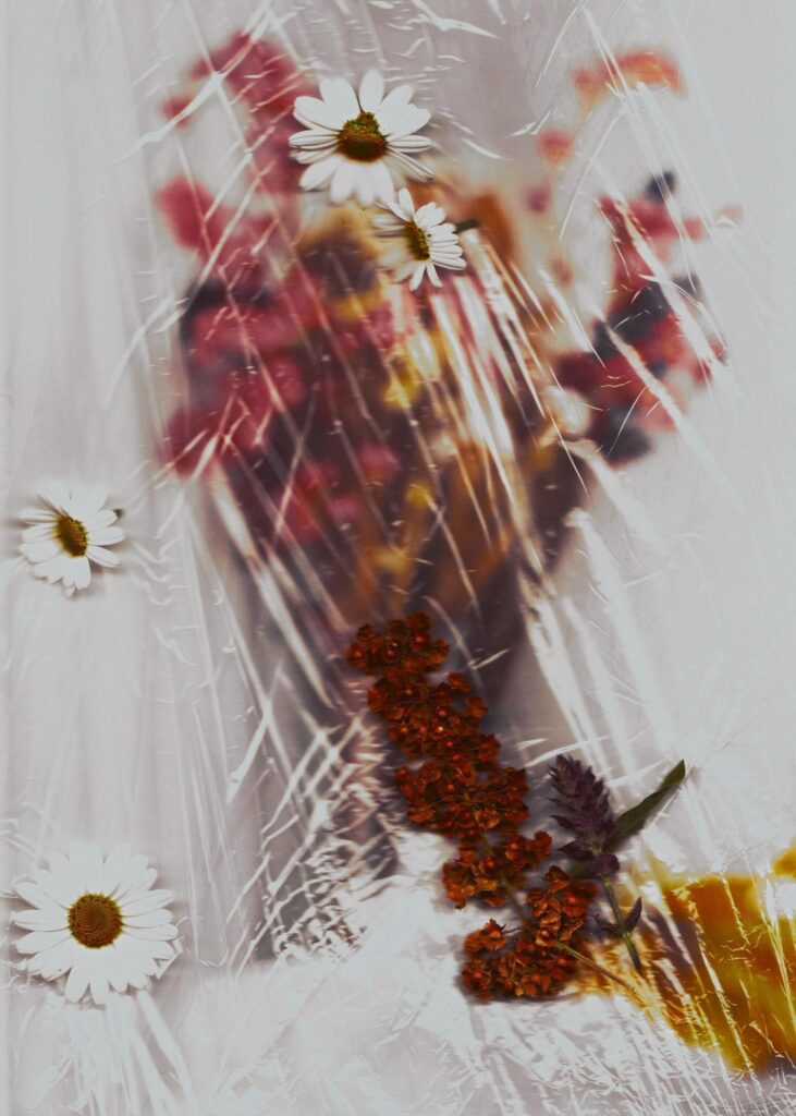 Xinyi Liu, Field Resonance, 2023