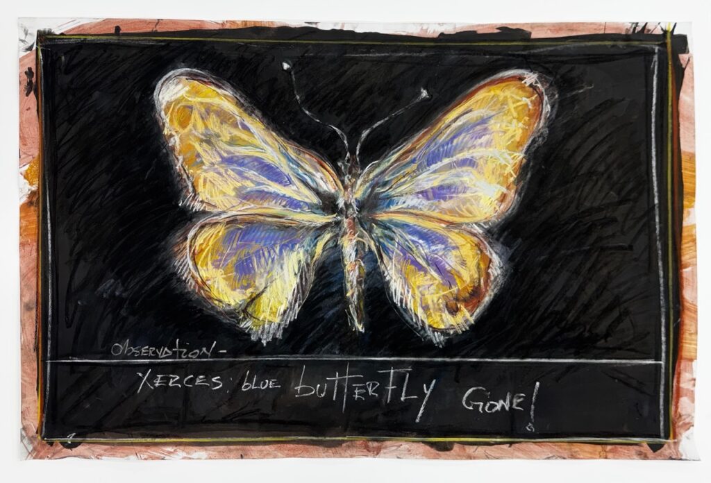 Oswaldo Maciá, Observation Xerces Blue Butterfly – Gone!, 2025