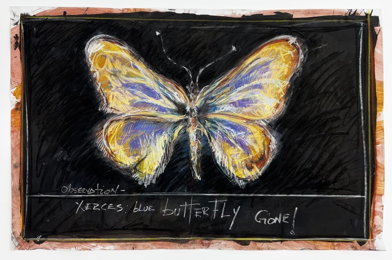 Oswaldo Maciá, Observation Xerces Blue Butterfly – Gone!, 2025