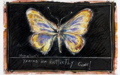Oswaldo Maciá, Observation Xerces Blue Butterfly – Gone!, 2025
