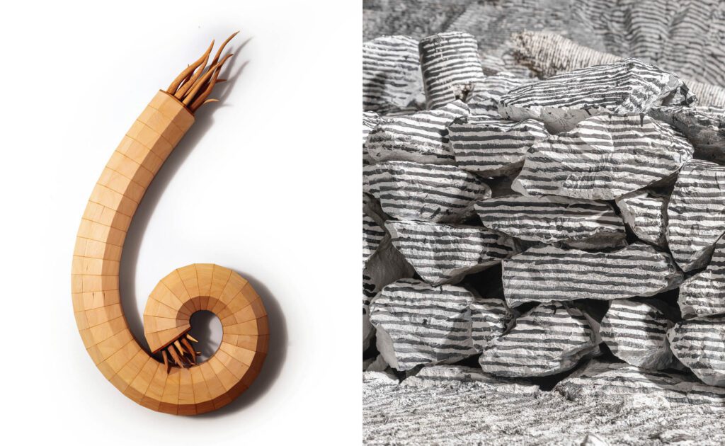 Trebuchet 18 - Foreign Objects - Inside View