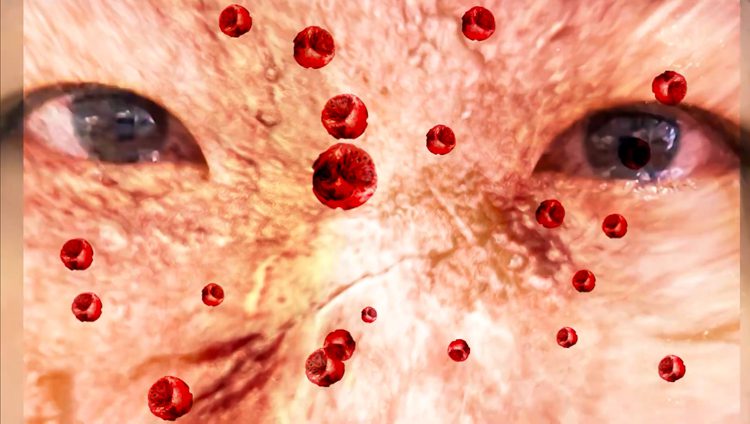 Xiaoping Yu, Shock-Under My Skin (still), 2024