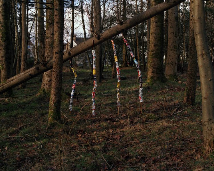 Finley Morgan, The Fields of Metal Fences (2025)