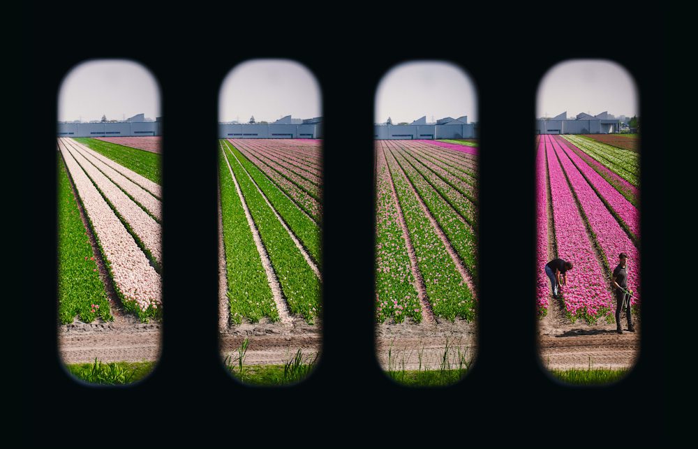 Katie Edwards, Rows of 410