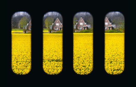 Katie Edwards, Rows of 4