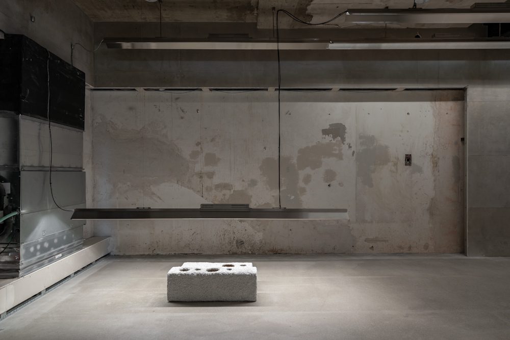 Installation view, eva hesse, lukas heerich, rindon johnson, 2026