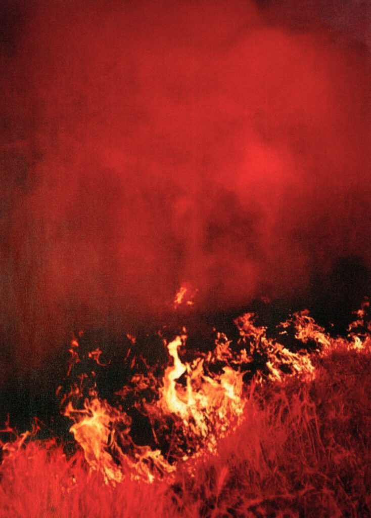 Alessio Boni, Untitled, 2025