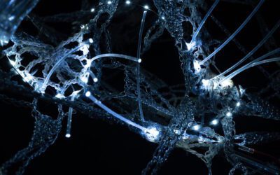 Shenlu Liu, SiO2.F12hz.T6s, 2022